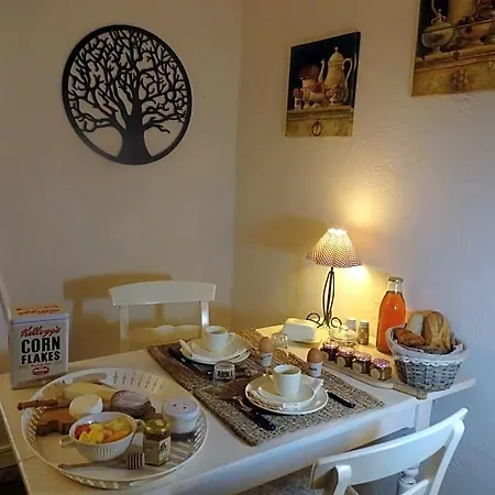 L'arbre De Vie *